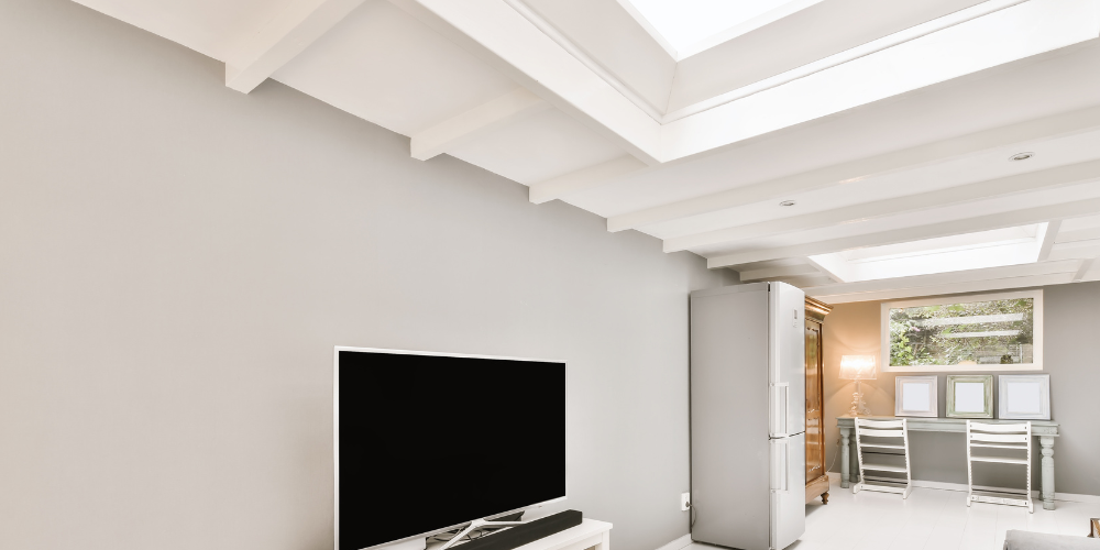 skylight in tv room