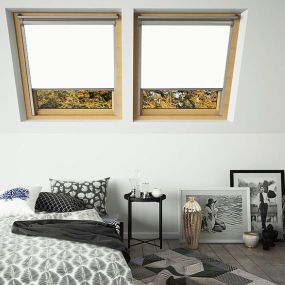 Velux Window